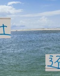 申花这么贵的医疗团队 没想到是中超前4伤病最重 阿马杜还能打吗