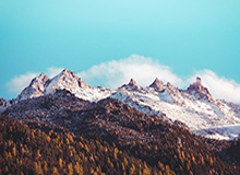 开云体育在线网站-九游娱乐——开启全新游戏世界的奇妙旅程