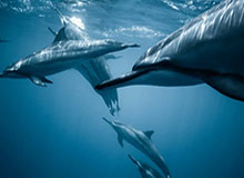 开云体育在线网站-九游娱乐——开启全新游戏世界的奇妙旅程